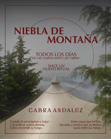 NIEBLA DE MONTAÑA